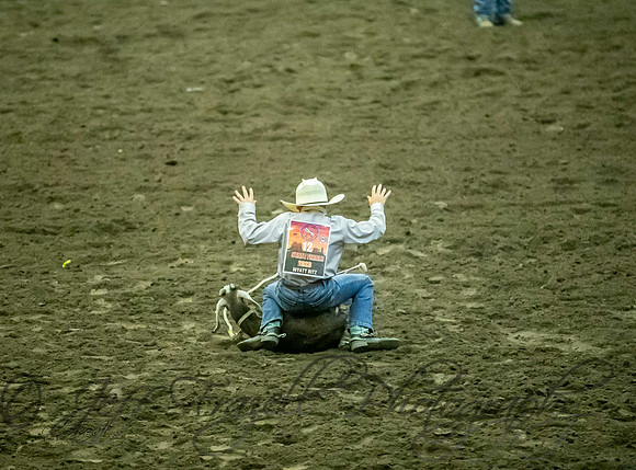 _E0I6115