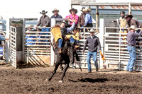 High School Rough Stock