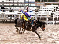Saddle Bronc