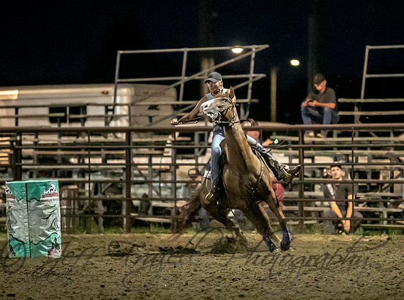 _35I3098