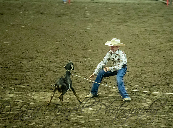 _E0I0389