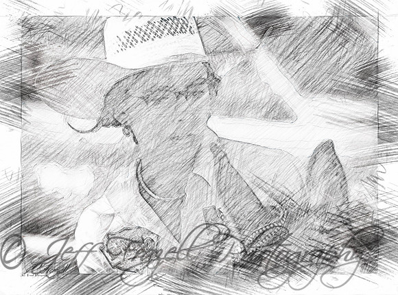 _E0I8399-Edit-Edit