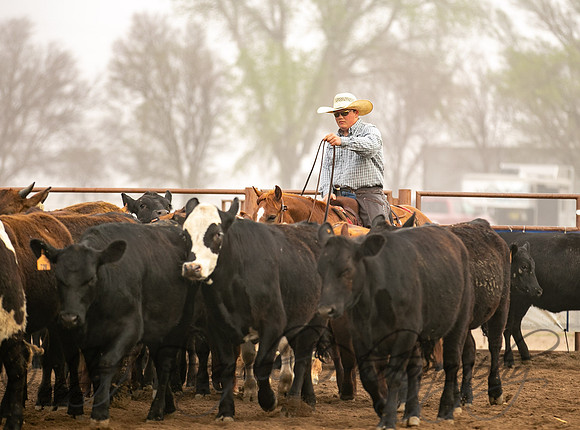 _E0I7063