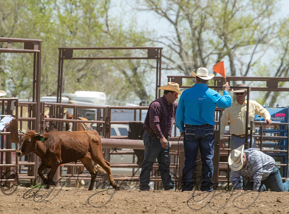 _E0I9141