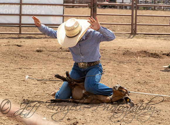 _E0I2205