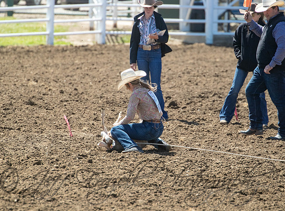 _E0I3666