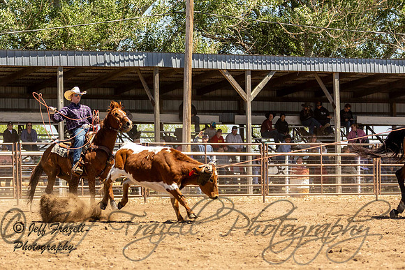 IMG_4448