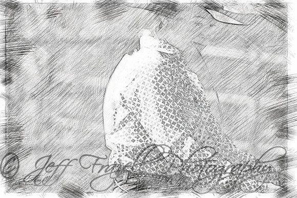 _E0I7524-Edit-Edit