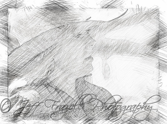 _E0I8573-Edit-Edit