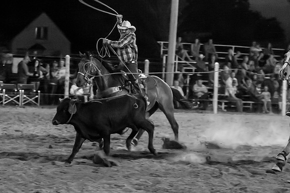 IMG_1617