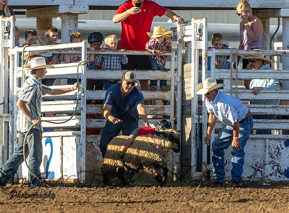IMG_8309