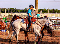 KJRA benefit barrel race Newton Saddle Club
