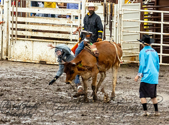 IMG_0587