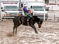 Saddle Bronc
