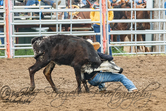 IMG_0459