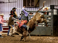 IMG_8860