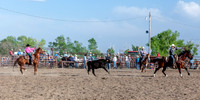 Jr High Team Roping Lakin Saturday