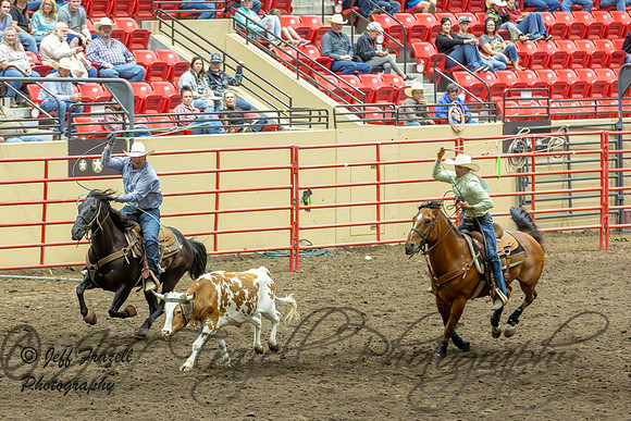 IMG_7406-Enhanced-NR