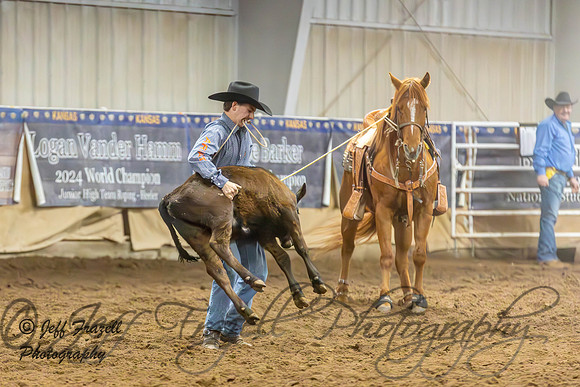 IMG_1228-Enhanced-NR