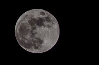IMG_4893