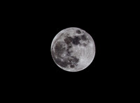 IMG_4900