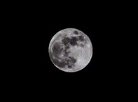 IMG_4899