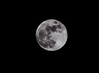 IMG_4900.1