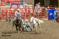 IMG_4229-Enhanced-NR