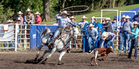 IMG_0556
