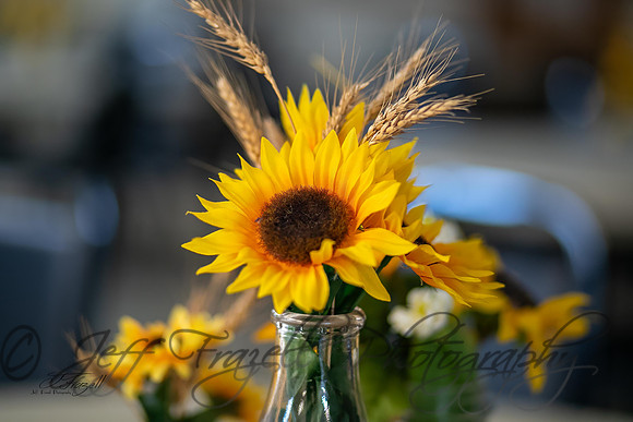 _E0I7192-Edit