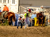 NSC Harvey Co Fair Rodeo Water Bucket Saturday