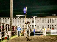NSC Harvey Co Fair Rodeo Barrel Racing Open Saturday