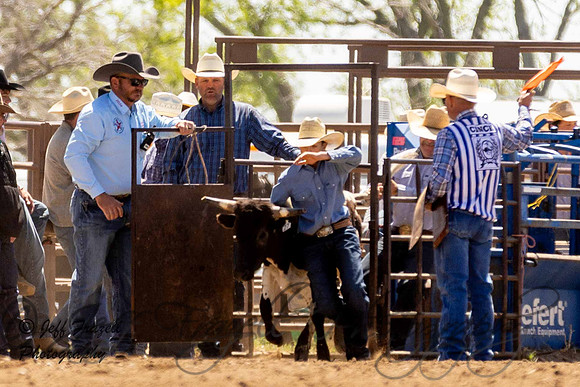 IMG_3248