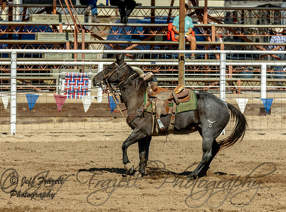 IMG_4808