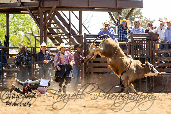 IMG_4381