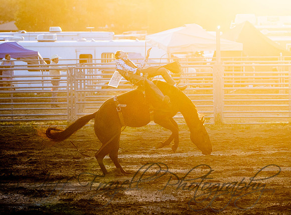 _E0I2985