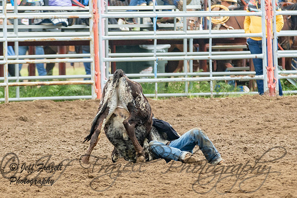 IMG_0461