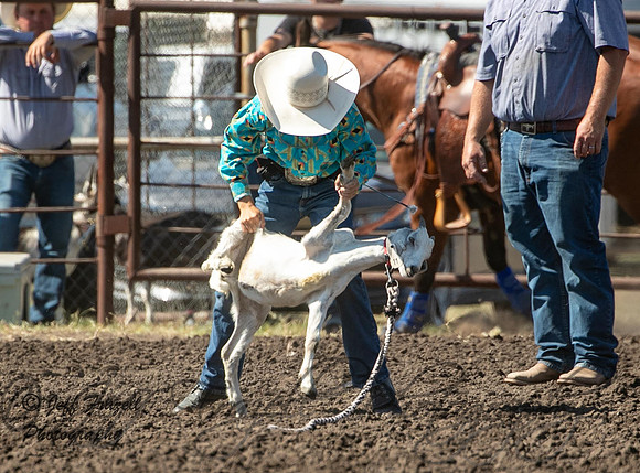 _35I0886