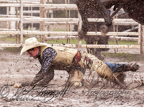 IMG_3816