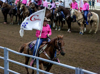 Pre Rodeo and Sponsor Flags