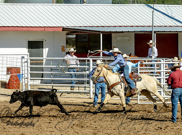 IMG_4339