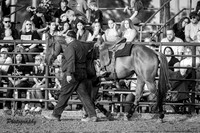 IMG_1542