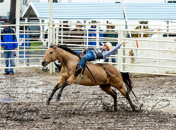 IMG_0516