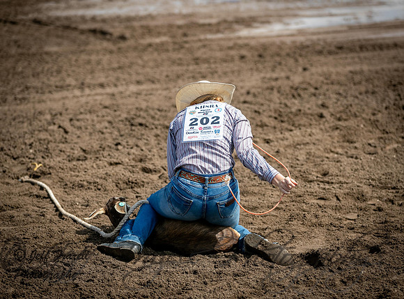 _35I6686