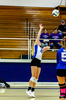 IMG_3233