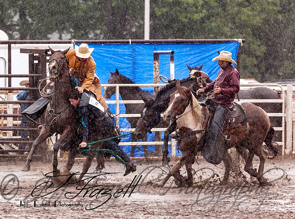 IMG_3796