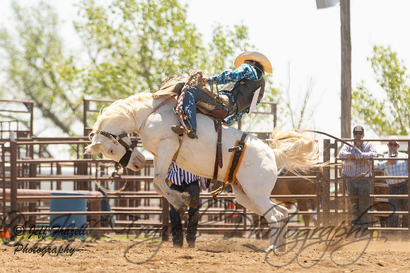 IMG_3662
