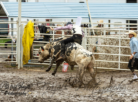 IMG_1652