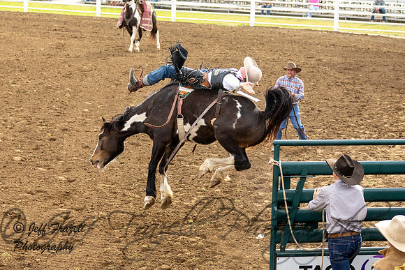 IMG_4339