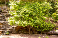 IMG_1940-Enhanced-NR